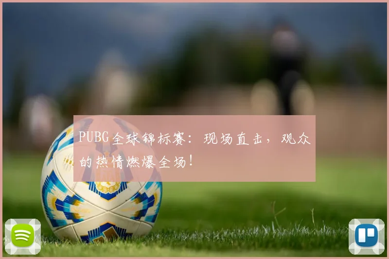 PUBG全球锦标赛:现场直击,观众的热情燃爆全场!